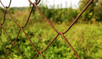 43 земельных участка изымут под новый мост в Усть-Каменогорске