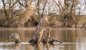 В ВКО ожидаются разливы рек и активный ледоход