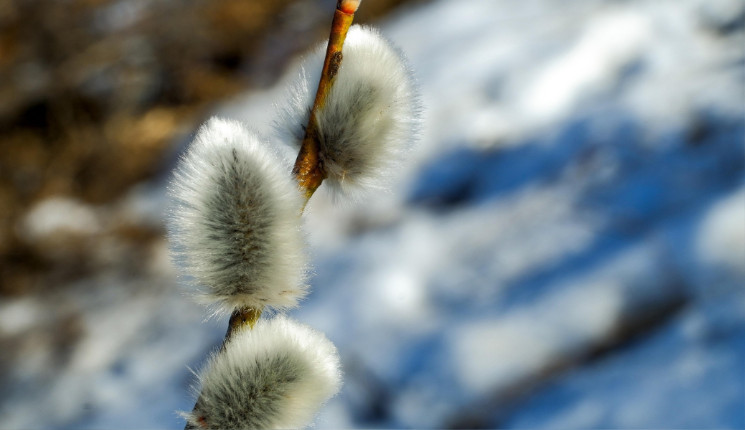 До 26 градусов тепла ожидается на востоке страны