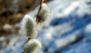 До 26 градусов тепла ожидается на востоке страны