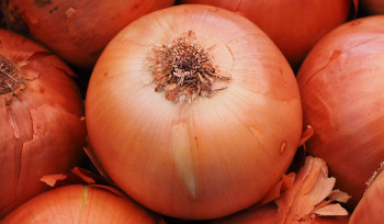 Сельхозярмарки пройдут в Усть-Каменогорске 4 апреля сразу в нескольких районах