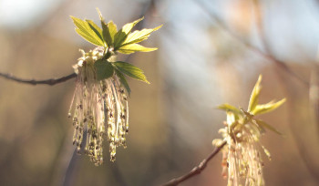 В ВКО в апреле ожидается до 25 градусов тепла