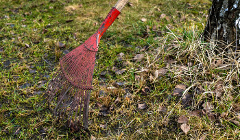 В Усть-Каменогорске 4 апреля состоится общегородской субботник