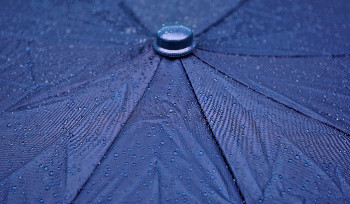 В ВКО ожидается усиление ветра и дождь