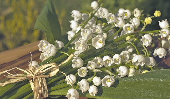 Сколько будут отдыхать казахстанцы в мае 2026 года