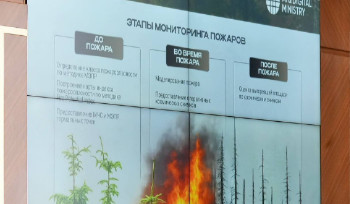 117 лесных и степных пожаров произошло в ВКО за три года