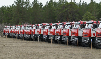 Технология раннего выявления лесных пожаров применяется в ВКО