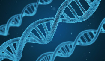 Казахстанское общество не должно доверять чуждому нашему ДНК мировоззрению - Токаев