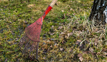 В Усть-Каменогорске до 30 мая будут проходить субботники