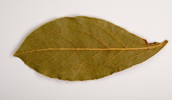 В ВКО один из самых высоких индексов старения населения