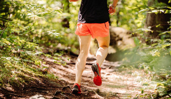 В ВКО состоится массовый трейловый забег в горах Алтая