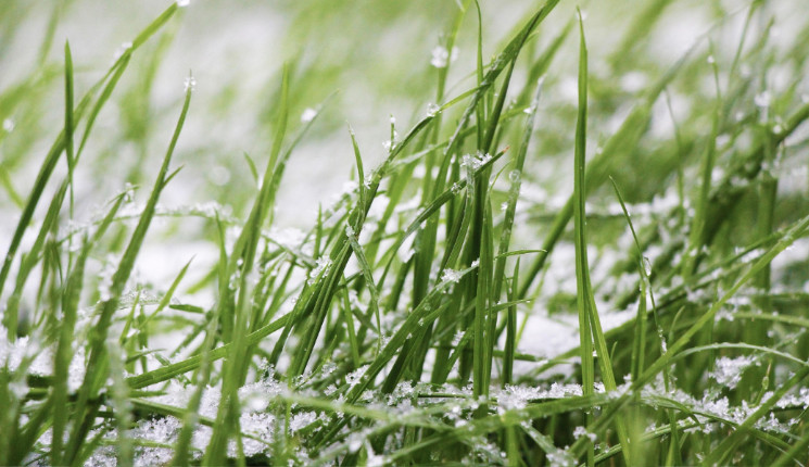 В ВКО ожидается снег