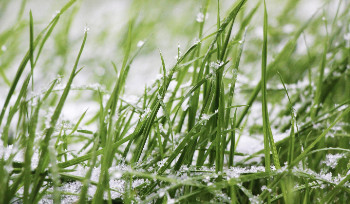 В ВКО ожидается снег