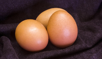 Глава государства поздравил казахстанцев с праздником Пасхи