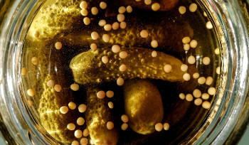 Казахстан купил у РФ консервированных огурцов на 5 млн долларов