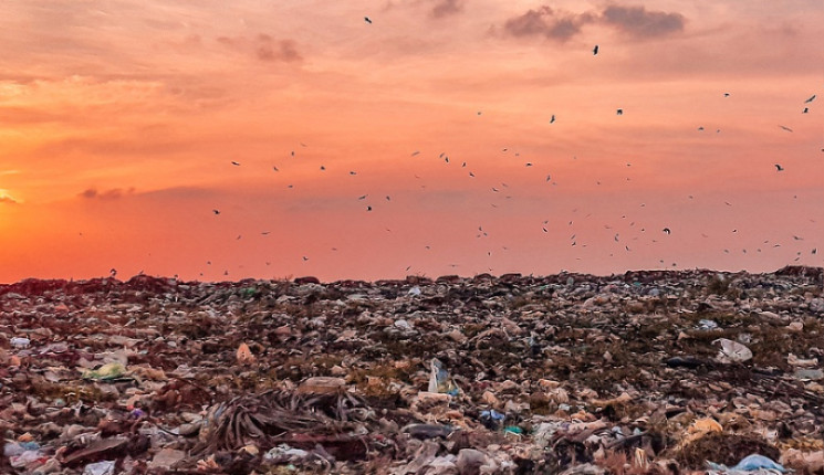 Акиматам городов и районов ВКО приказано ликвидировать мусорные свалки за неделю