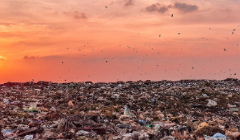 Акиматам городов и районов ВКО приказано ликвидировать мусорные свалки за неделю