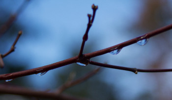 В ВКО ожидаются сильные осадки
