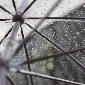 15 апреля в ВКО ожидается снег с дождем