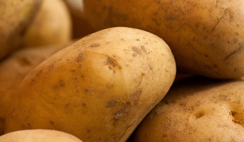 Сельскохозяйственные ярмарки пройдут в Усть-Каменогорске 18 апреля