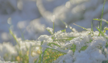 17 апреля в Усть-Каменогорске продолжится снег
