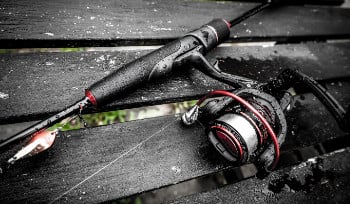 В ВКО начался нерест рыб: в это время добыча запрещена