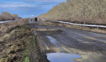 В ВКО ремонт трассы Усть-Каменогорск-граница РФ завершат до конца года