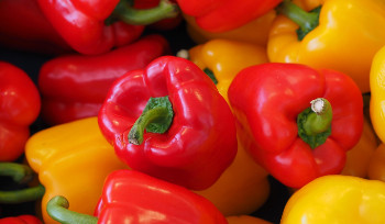 В Казахстане из торговых цепочек исключают лишние звенья