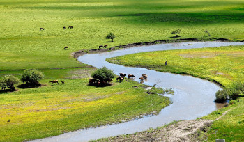 Прямой рейс запустят из Усть-Каменогорска в Монголию