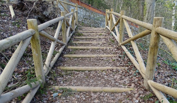 270 мест в ВКО адаптируют для людей с особыми потребностями