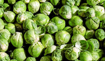 На выходных в Усть-Каменогорске пройдут сельскохозяйственные ярмарки