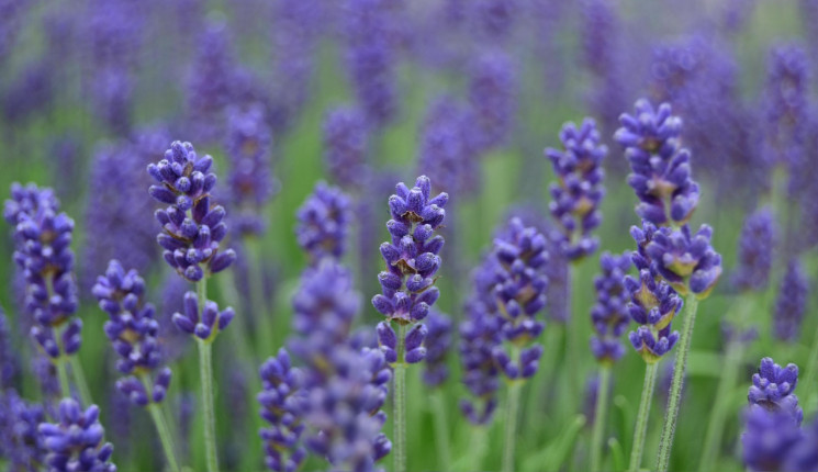 После дождей в ВКО ожидается до 28 градусов тепла