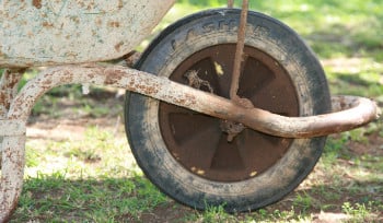 В ВКО около 100 тысяч человек выйдут на субботник