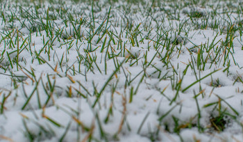 Ночью 27 апреля в ВКО ожидается снег