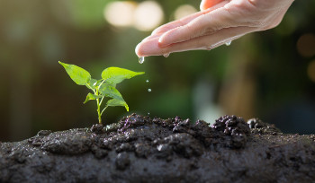 Жителей Усть-Каменогорска приглашают на субботники и озеленение города