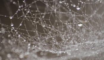 В ВКО ожидаются дождь и мокрый снег