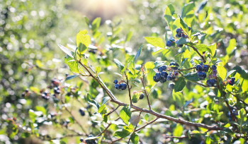 97% казахстанских школьников летом займутся полезными видами деятельности