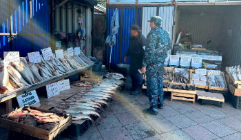 Три уголовных дела за незаконную добычу рыбы завели в ВКО