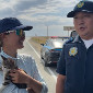 Полицейские ВКО пришли на помощь путешественнице и ее кошке