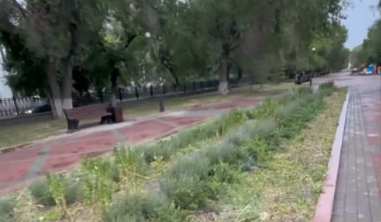 Реконструкции аллеи на бульваре Гагарина пока не будет