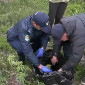 В ВКО мужчина вырастил дома в четырех горшках каннабис