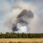 В ВКО начался лесной пожар