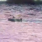 В Усть-Каменогорске на Иртыше перевернулся гидроцикл